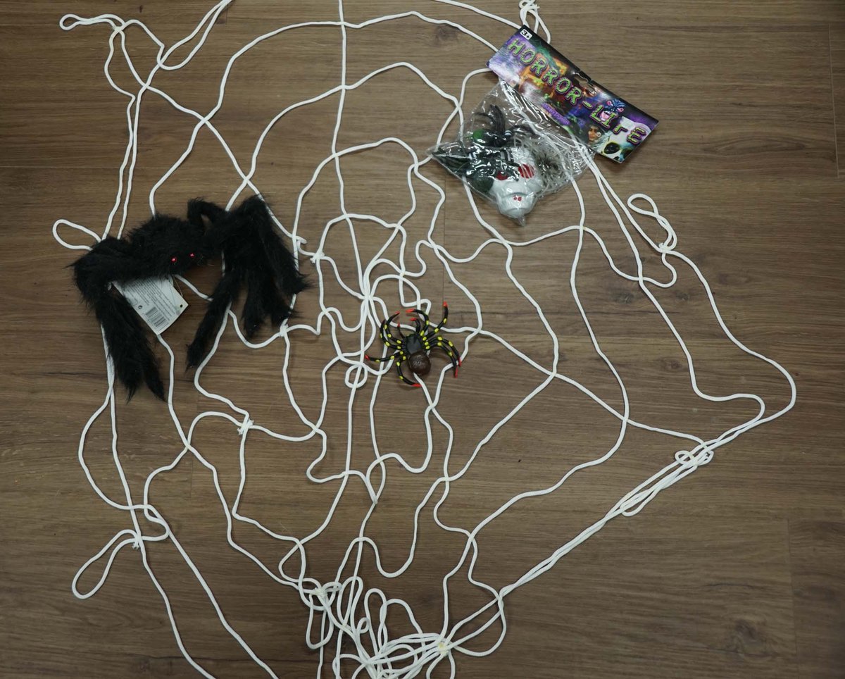 Griezelige spinnenweb, spin en insekten - wit spinnenweb - grote spin - insekten - halloween decoratie - spooktocht accessoires - griezelige spin in spinnenweb - spook decoratie - decoratie voor halloween feest - spinnnen pakket voor in spookbos