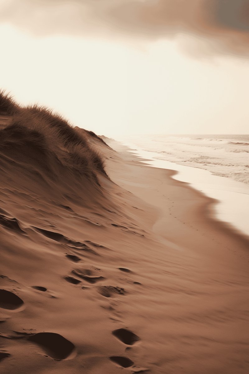 Duinen - van Duinen - Duin - Texel - Zand - Strand - Kamer Decoratie - decoratie - posters - formaat 70x100cm - Wanddecoratie - L1844YR