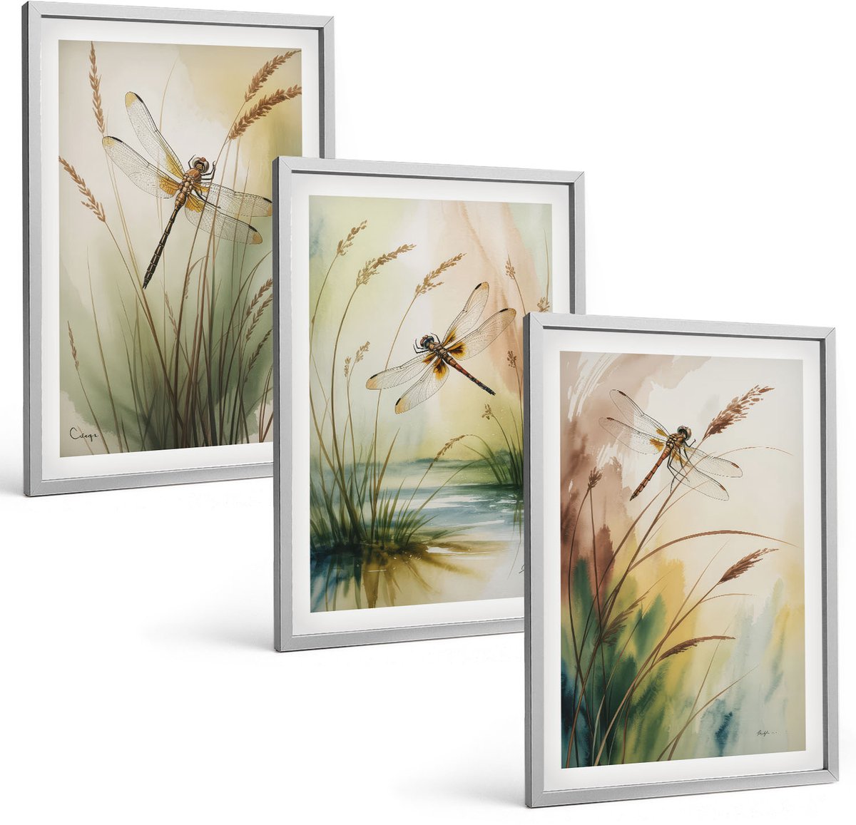 Coloray 3-Delige Schilderij Set - Libellen Tussen Het Gras Bij Het Water In Een Schilderachtige Stijl. - 40 x 60 cm - Muurdecoratie - Decoratieve Schilderijen - Wohnzimmer