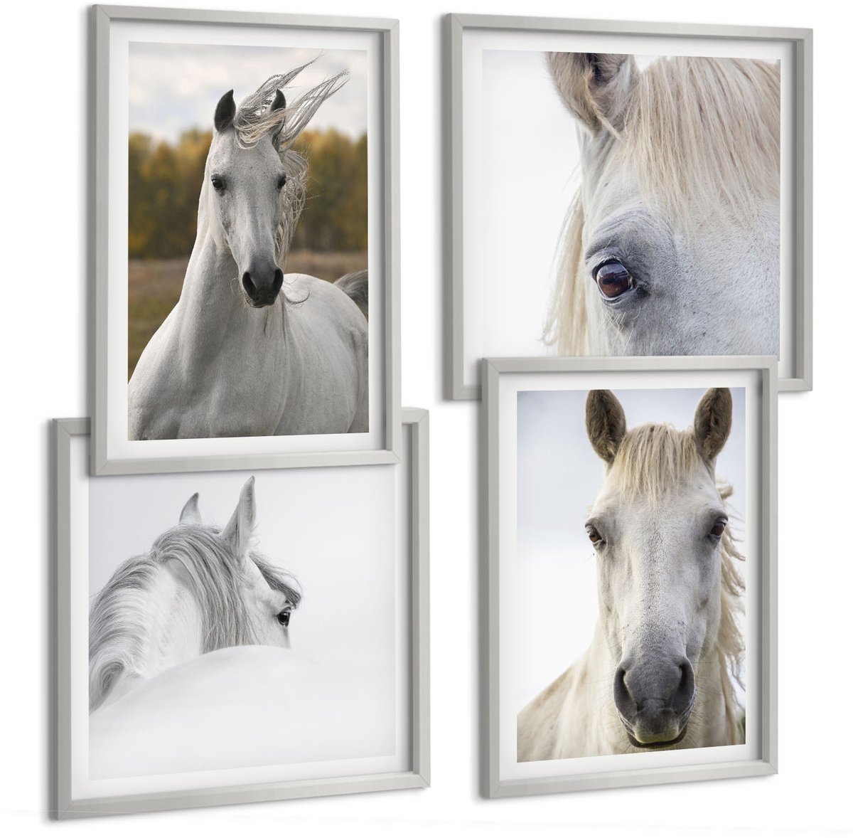 Coloray 4-Delige Schilderij Set - Witte Paarden In Verschillende Houdingen Tegen Een Natuurlijke Achtergrond. - 40 x 40 cm En 40 x 60 cm - Wanddecoratie - Muurdecoratie - Moderne Interieurdecoratie - Interieur Decoratie