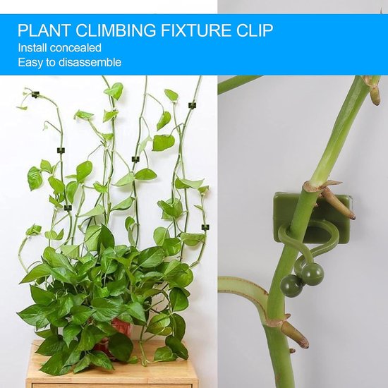 Zelfklevende Steun voor Klimplanten - Duurzame Klemmen - Muurbevestiging - Groene Klem - Plantenhaken - Geschikt voor Binnen en Buiten — afbeelding 2