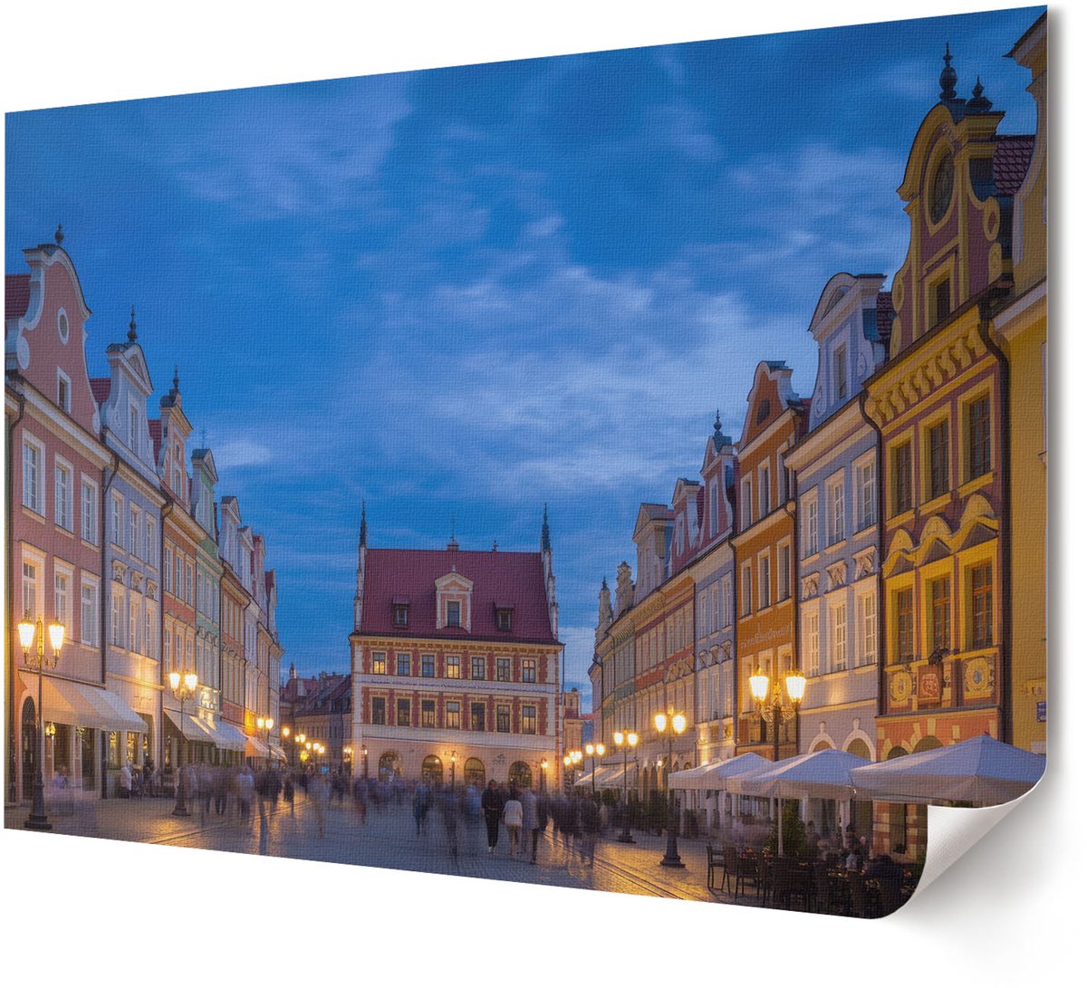 Coloray Canvas Poster Polycanvas - Zwart-Witte Varens, Fotografie - A4 - Zwart Decoratie - Rechthoek - Decoratieve poster - Woonkamer, Slaapkamer, Kantoor - Klassiek