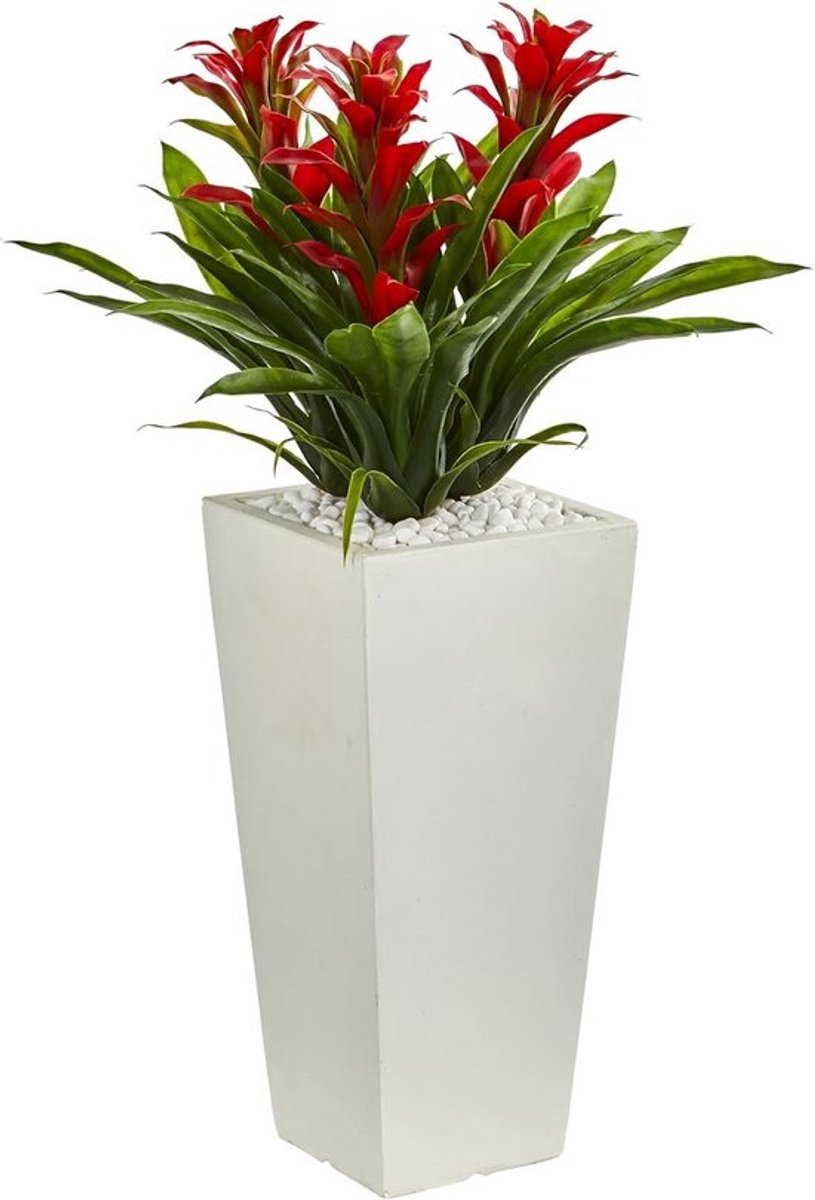 Natuurlijke Drievoudige Bromelia Plant in Witte Toren Planter - Prachtige Rood met Groen