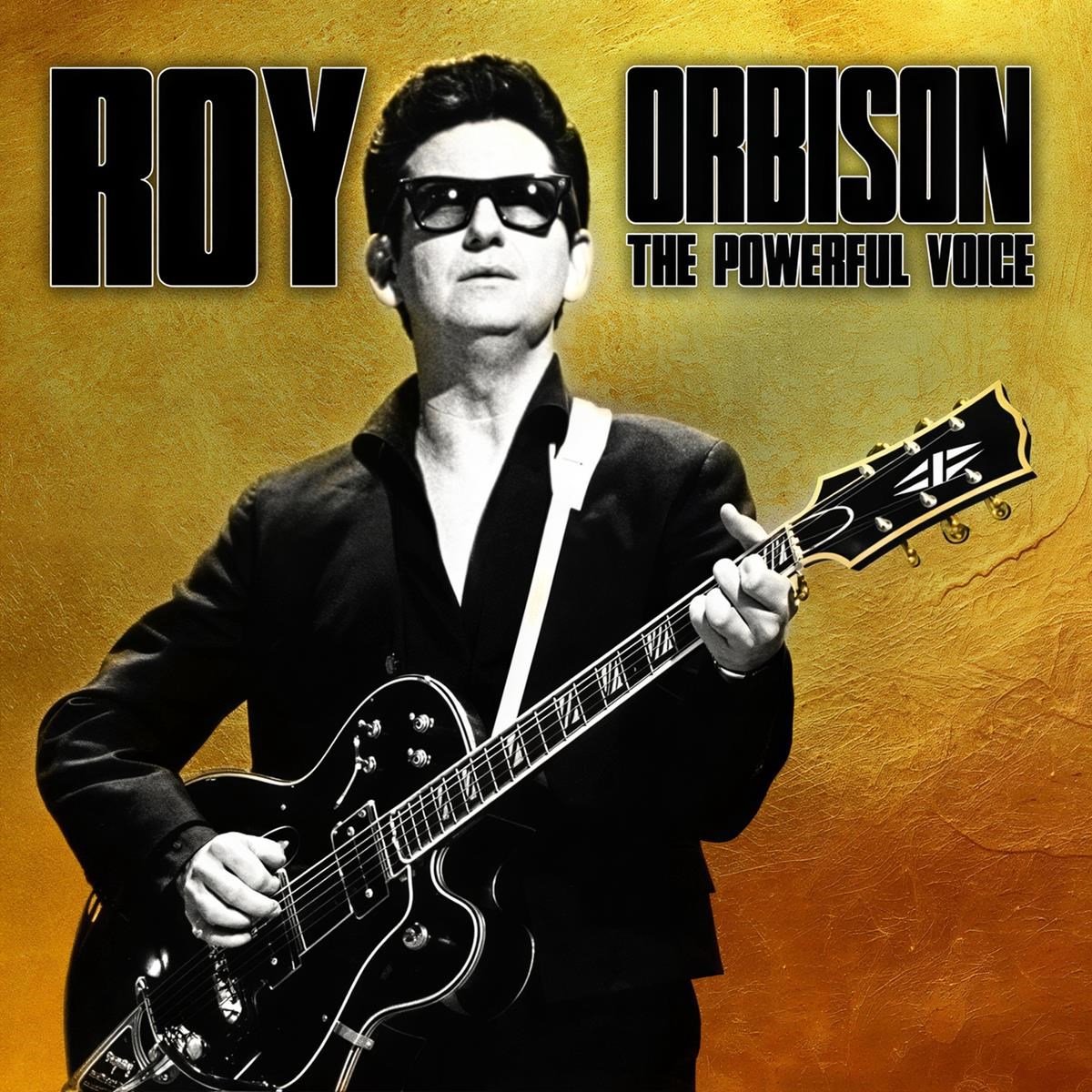 Roy Orbison - The Powerfull Force (CD)