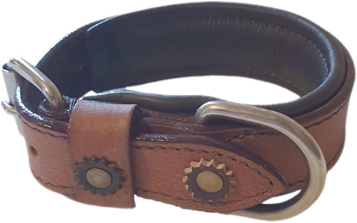 Hondenhalsband L 14-19 inch