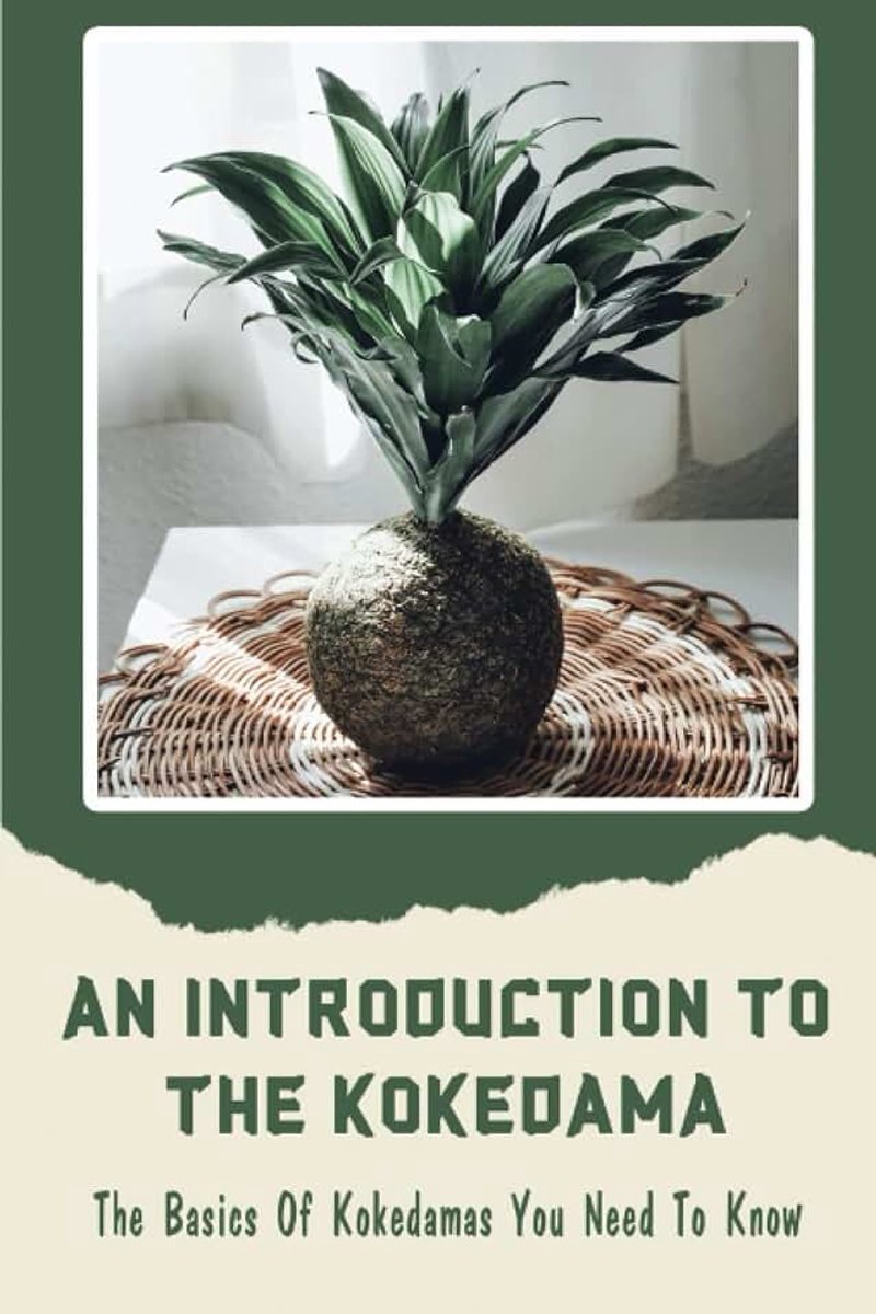 Kokedama: The Basics Of Kokedamas You Need To Know