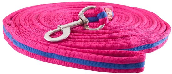 Fuchsia longeerlijn met twee blauwe strepen en een zilveren clip.