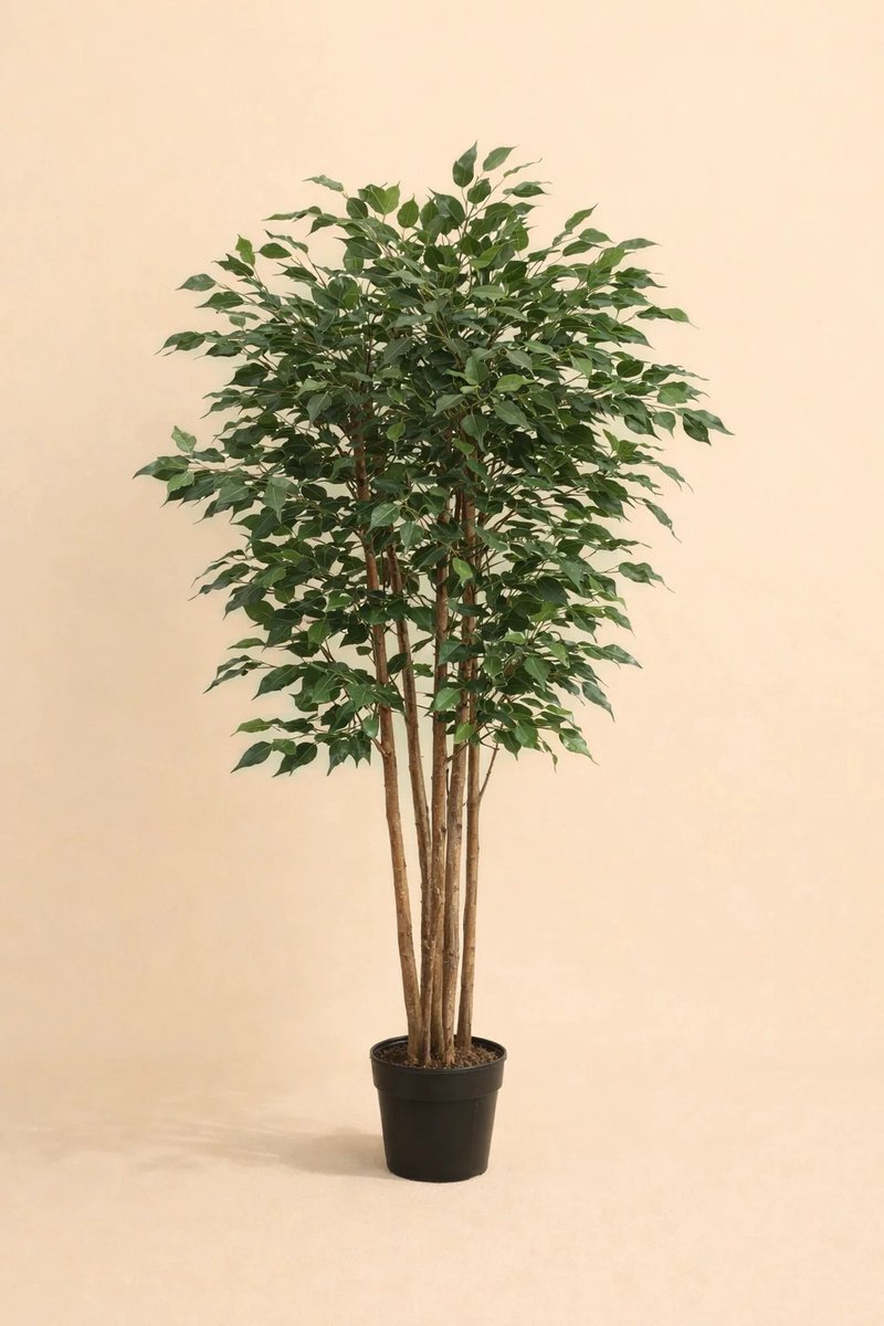 plantenkopen.online Onlineplantenkopen - Kunstplant Ficus Benjamina 150cm - Kunstplanten voor binnen - Onderhoudsvrij - Kunstplant - Plant - Nep plant Groen