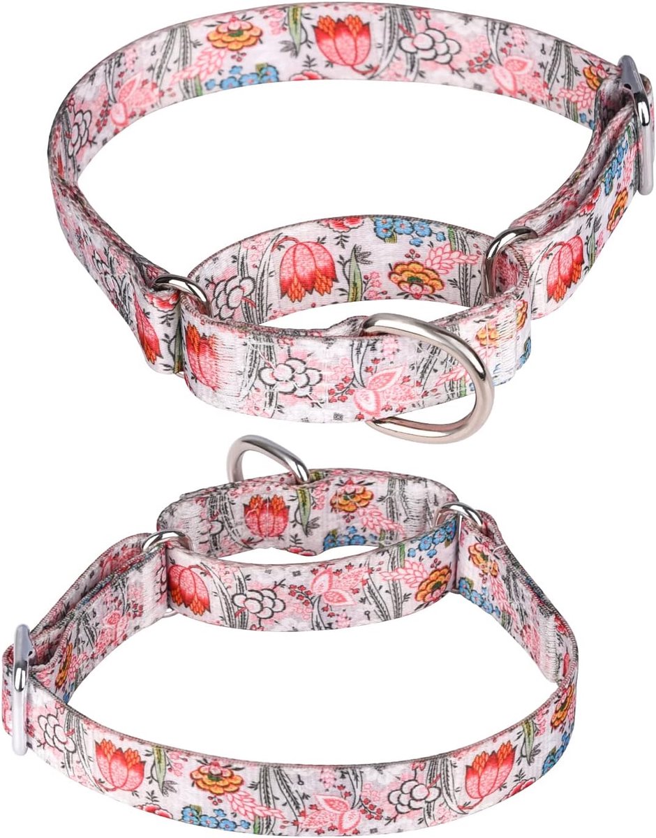 Duty nylon verstelbare Martingale halsband voor wandelen en training van jongens- en meisjeshonden (XL: 53-62 cm, wit)