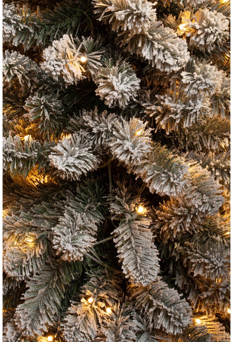 Black Box Trees Charlton Smalle Kunstkerstboom met Warm Witte LED Verlichting - H260 x Ø63 cm - Groen Frosted – foto 4