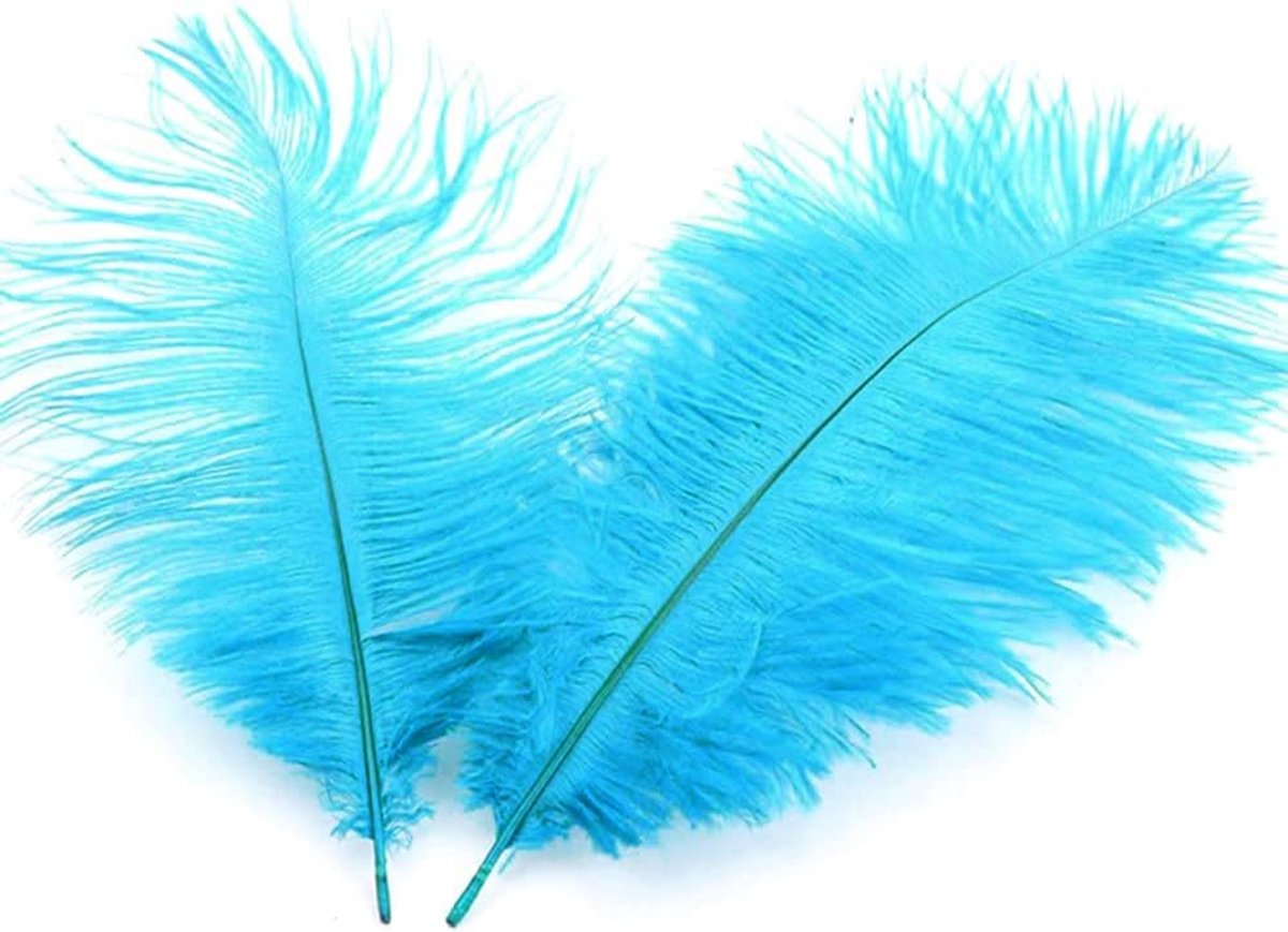 Veren, 10 stuks, 20 - 25 cm, om te knutselen, knutselveren voor doe-het-zelf dromenvanger-accessoires, woondecoratie, kostuums, tafeldecoratie, bruiloft, feest, hoed, kleding