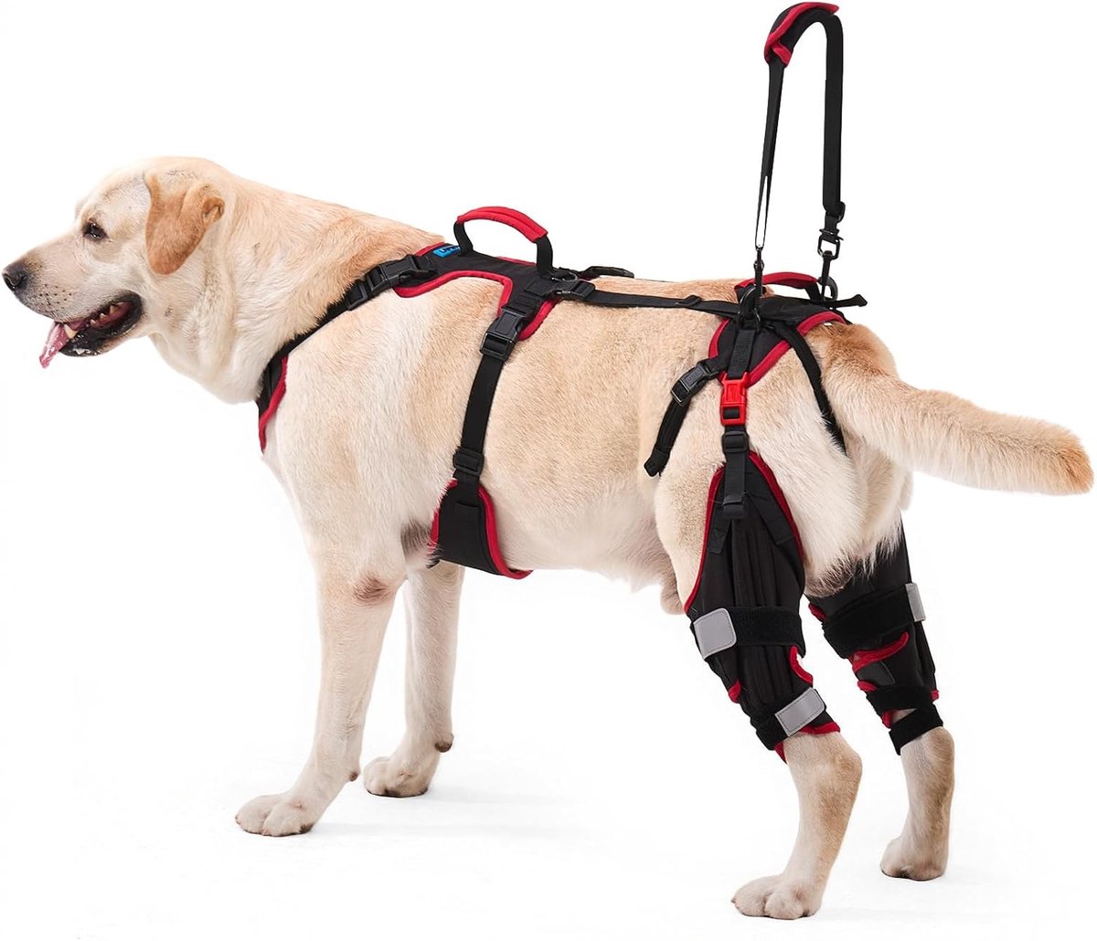 Hondenkniebrace voor gescheurde ACL/CCL achterpoten, set van 2, robuuste verstelbare beensteun met liftgreep en schouderriem voor grote honden, artritis en herstel, zwart, medium