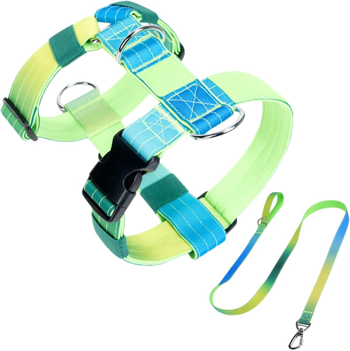 Hondenharnas en riem set met kleurverloop, groen, M