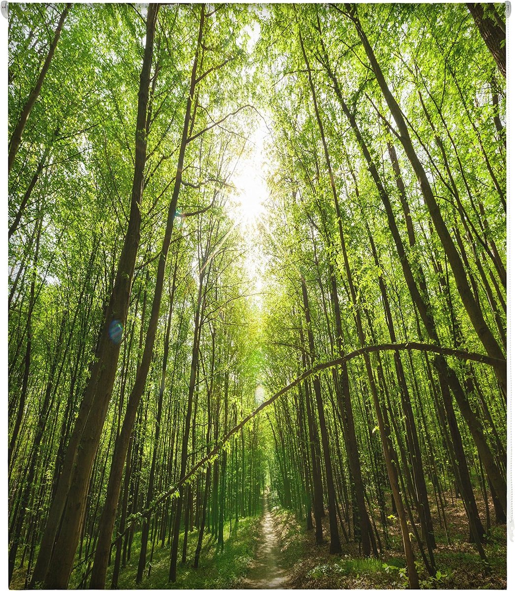 Blindecor w-p-48493 – Rol Translucido Digitaal bedrukt, 150 x 180 cm
