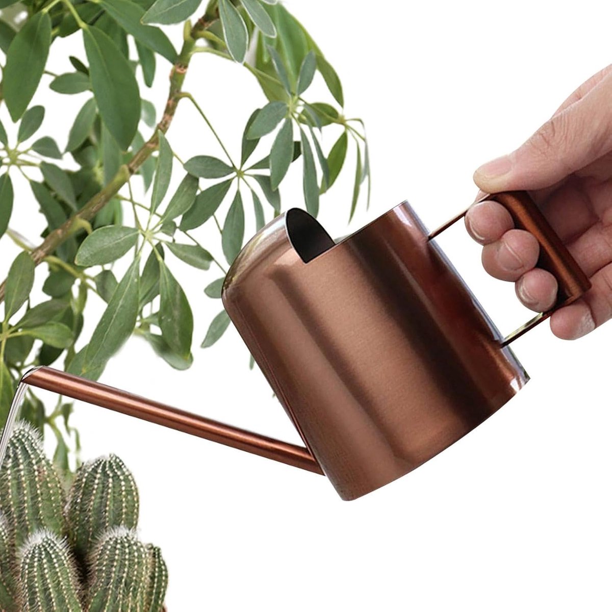 Gieter met lange hals RVS tuinwaterkan | 10oz Tuin Gieter Groen Mini Tuinman Tool Voor Kleine Potplanten