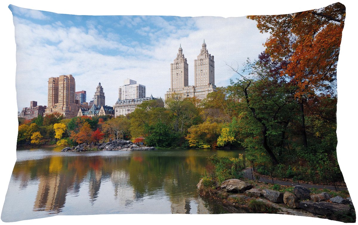 ABAKUHAUS Stad Kussenhoes, Manhattan Central Park, Dubbelzijdige Digitale Print met Ritssluiting, Kleurecht, Onderhoudsvriendelijk en Wasbaar, 65 x 40 cm, Meerkleurig