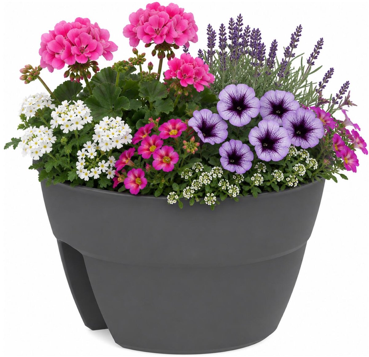 EDA Balkon plantenbak / bloempot Osaka - antraciet - 30 x 20 cm - rond - kunststof - voor planten en kruiden