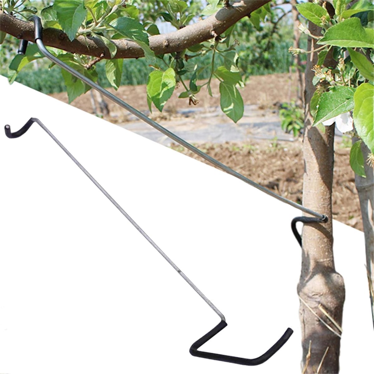 Ledemaatspreider 10 stks, 14 inch tak trekker,Nieuwe Fruit Tak Spreader Plastic Slang Verpakt Ijzer Draad Beschadig Geen Schade Takken,Boom Open Hoek Pull Tak Buigen Tool