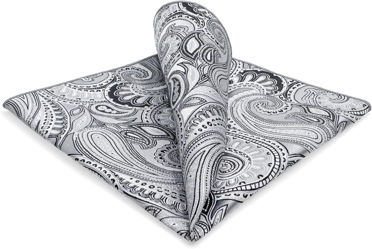 SHLAX&WING Zakdoek voor heren, gesorteerd paisleypatroon voor kostuumjas, business,