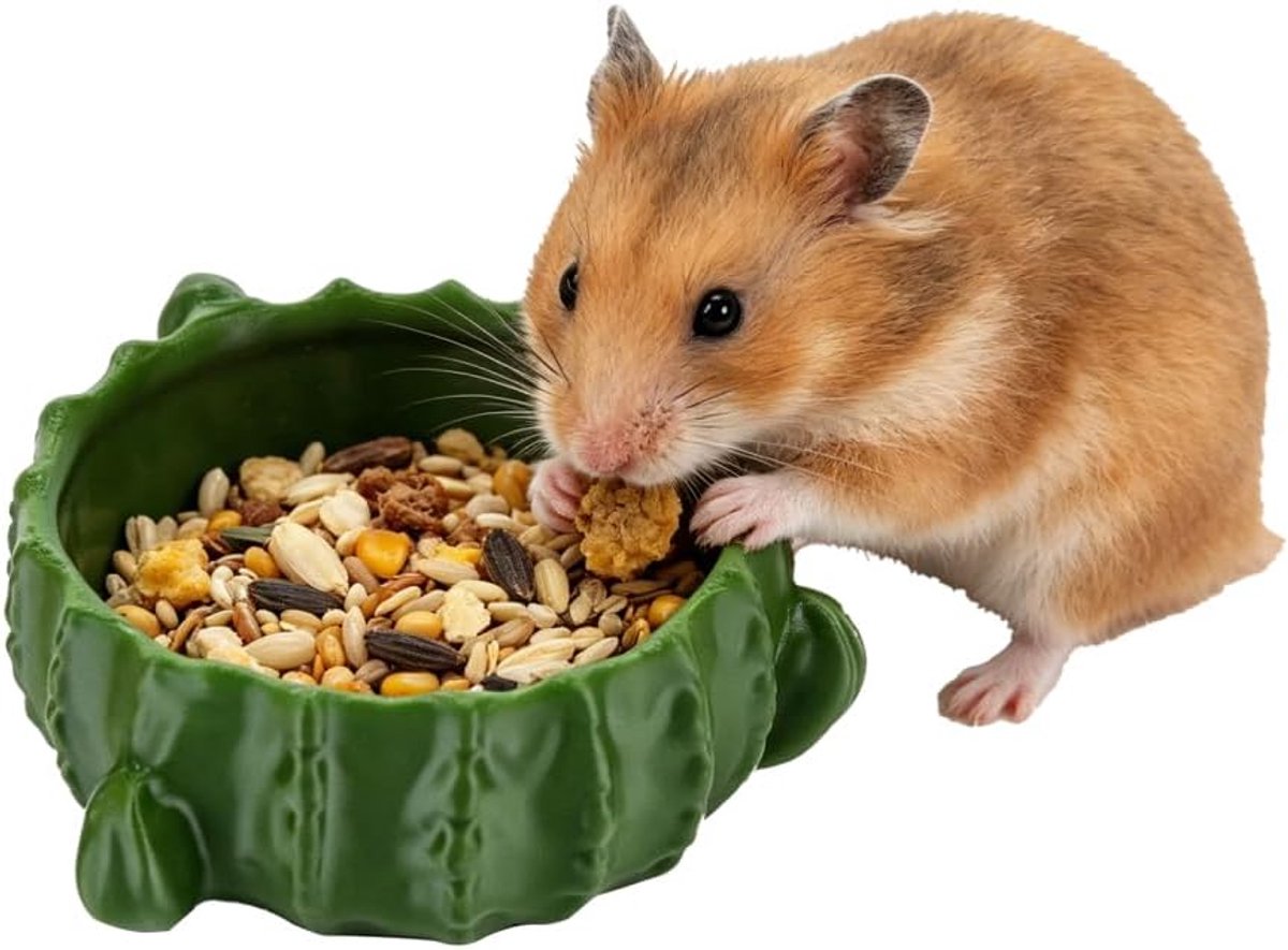 Kantelbestendig, schattige voerschalen voor dwerghamsters, goudhamsters, decoratieve schaal voor terrarium, omheining, kooidecoratie