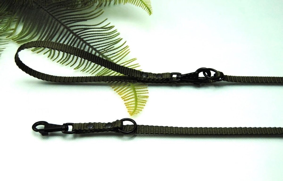 Extra Lange Petite Welpenleine Doppelführleine stufenlos verstellbar 3m x 10mm Oliv