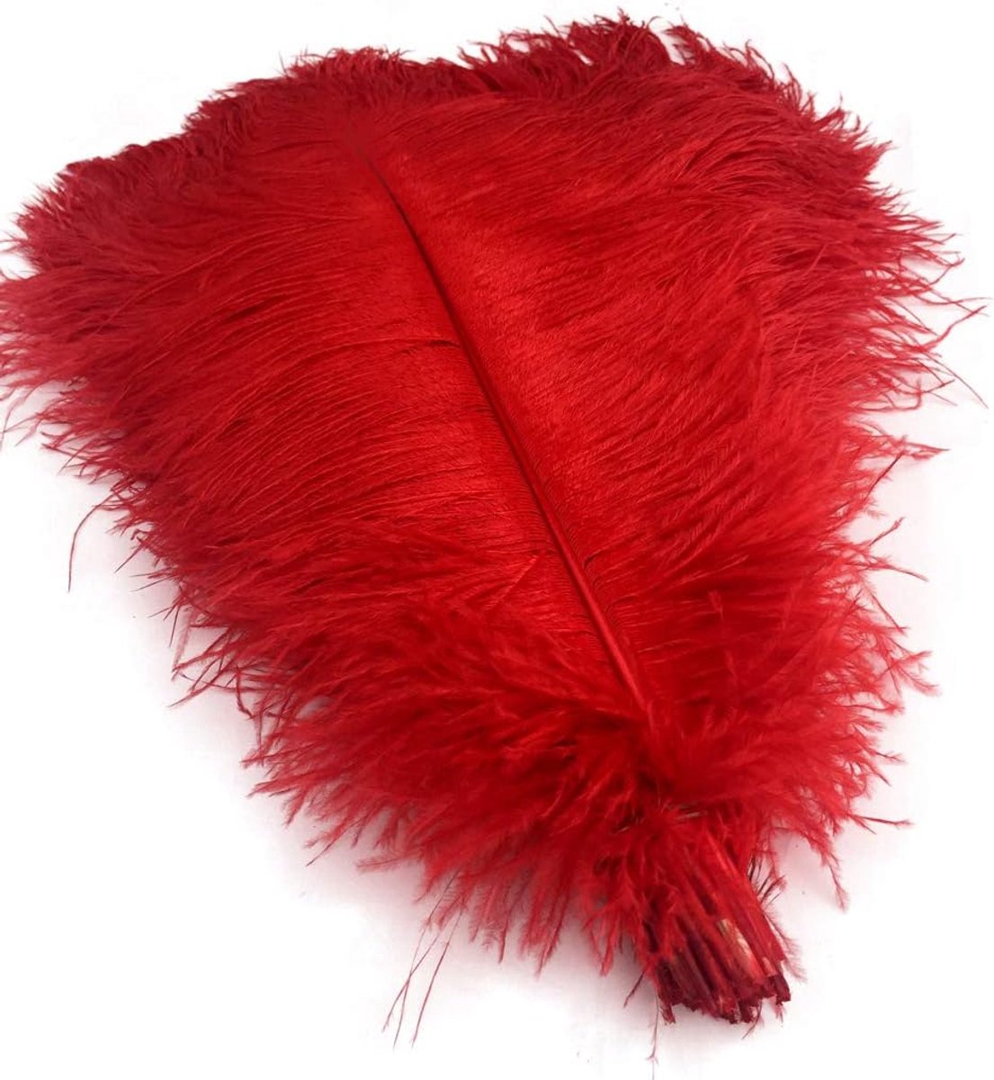 Veren DIY Craft Veer Pack van 10 (Rood)