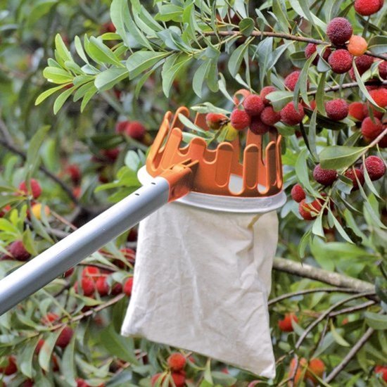 Fruitplukker - Vruchtenplukker met oogststok - Fruit plukken - Telescopische handgreep - 115-300 cm — afbeelding 2