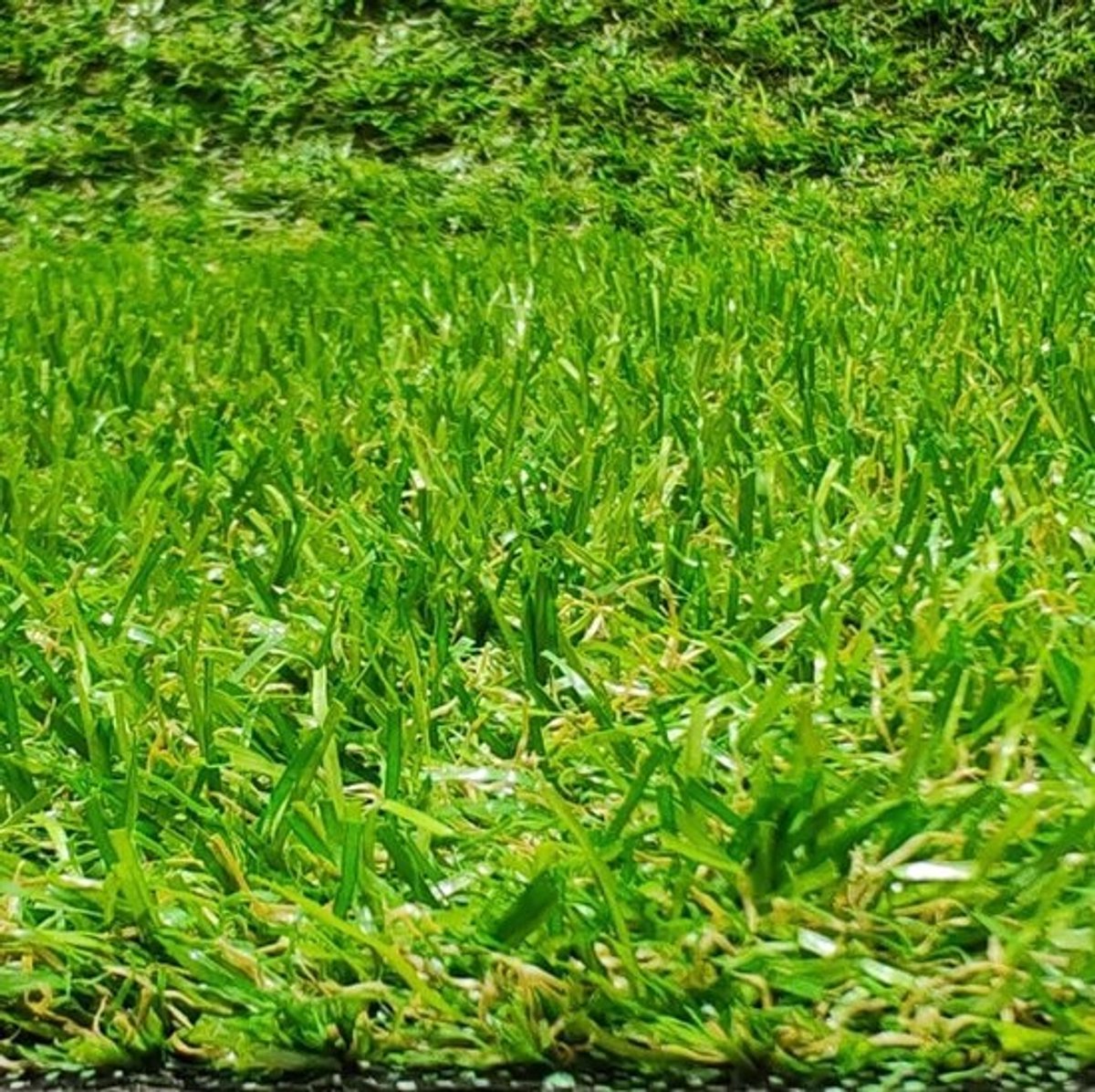 Kunstgrastapijt - Vloerbedekking voor gazon - Terras- en tuindecoratie - UV- en zeewaterbestendig - 150 x 200 cm - Groen
