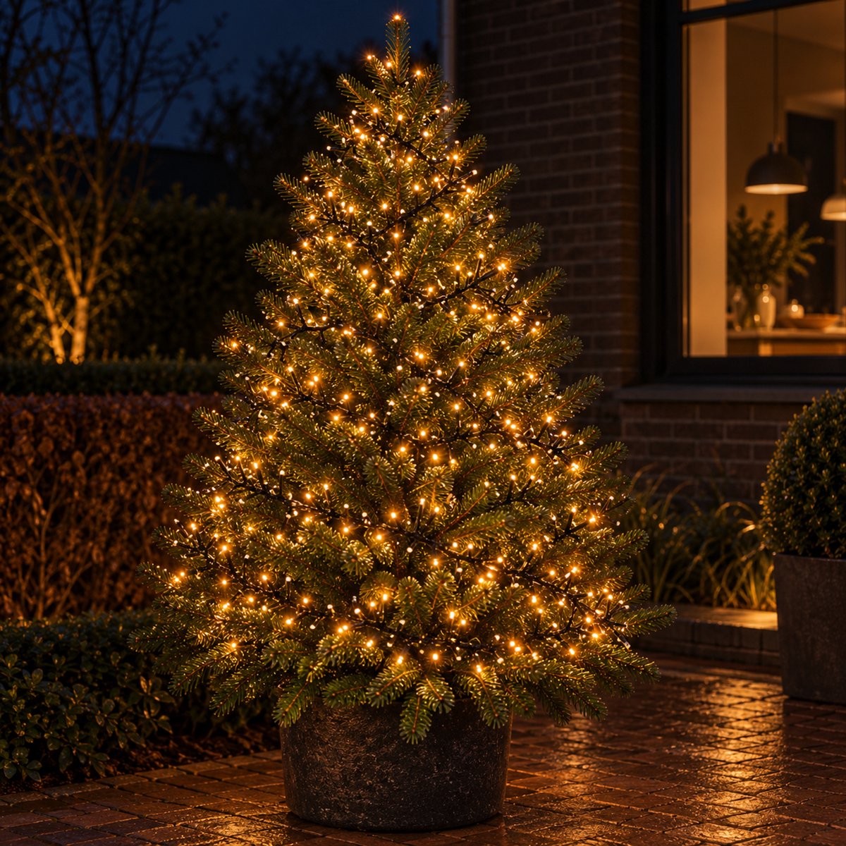 EasyMart Clusterverlichting 768 LED - Kerstverlichting - Kerstboomverlichting Extra Warm Wit - Voor Binnen en Buiten - Timer - 8 Lichtfuncties met Geheugen - IP44 - 5,5 m Verlicht + 3 m Aanloopsnoer - 8,5 m Totale Lengte - Kerstdecoratie – foto 6