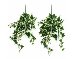 Kunsthangplant klimop – Set van 2 – 56 cm per plant – Kunststof hedera – Onderhoudsvrij