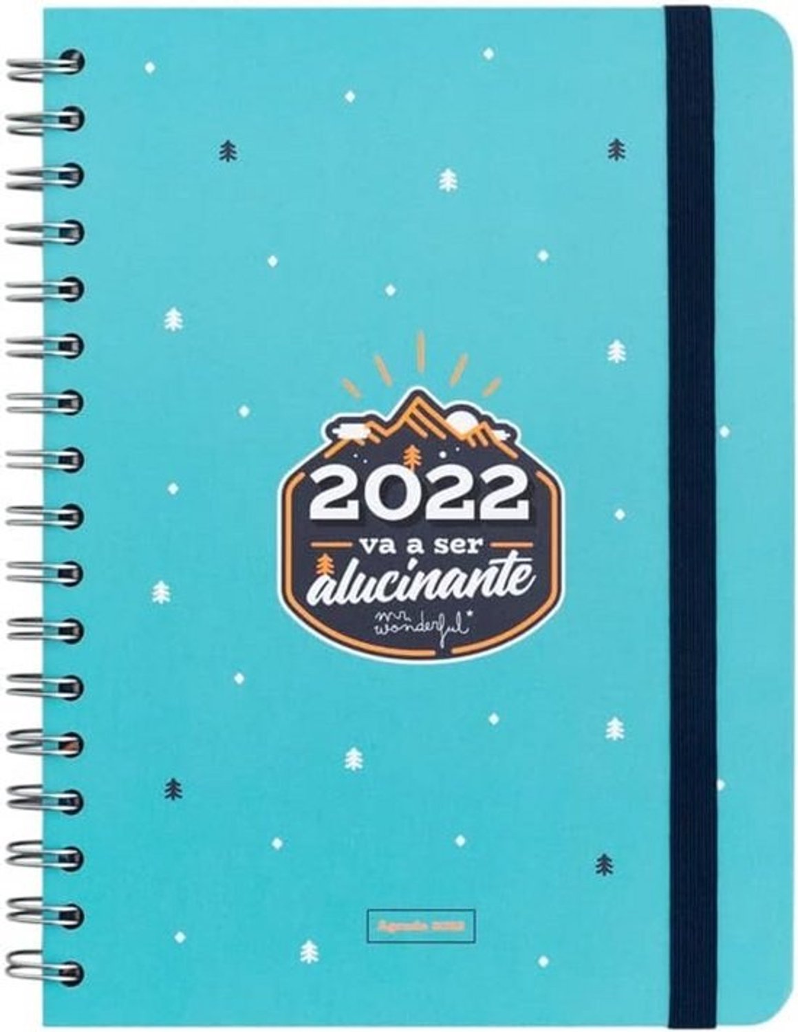 Klassieke Agenda - Weekplanner 2022 - Afspraken Plannen - Motiverende Dagelijkse Sets - 160 Pagina's - Meerkleurig