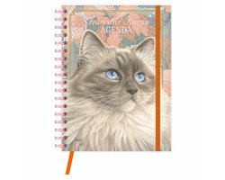 Franciens katten bureau-agenda (harde kaft) Blue 2027