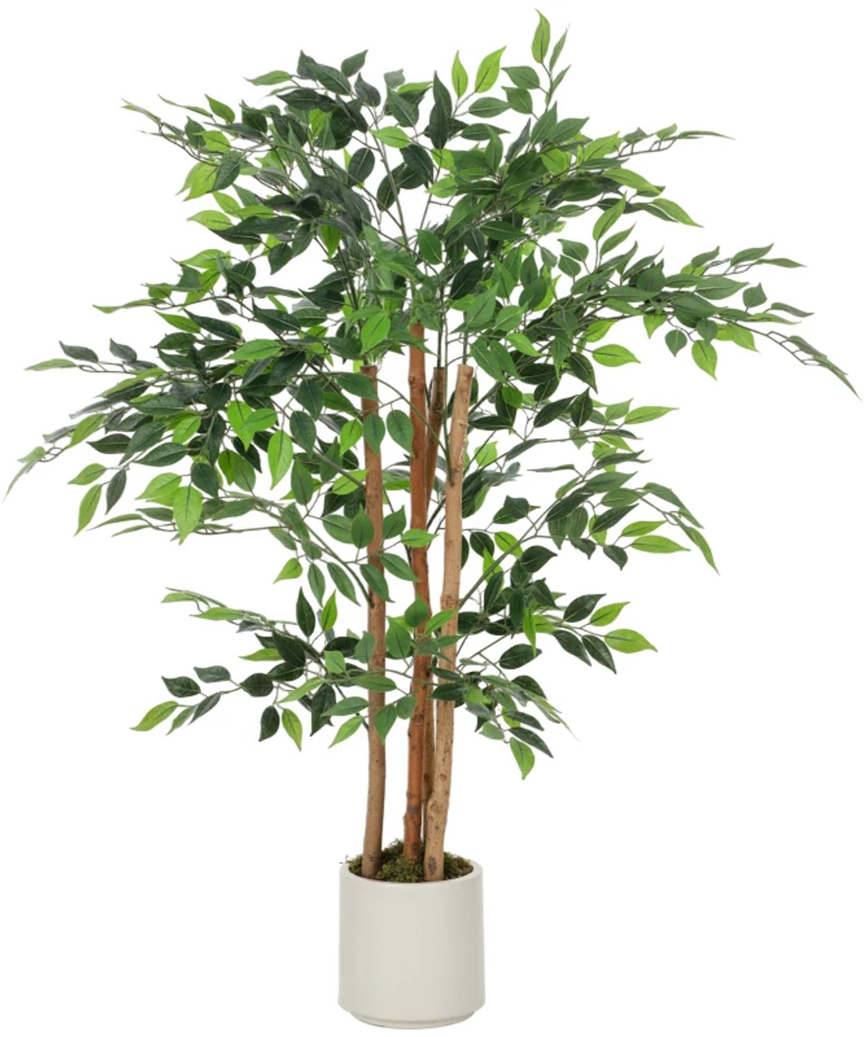 ZYLARO Kunstbanyanboom - Massief houten stam - Voor woonkamer slaapkamer en kantoor - 55 x 55 x 120 cm - Groen groen+wit