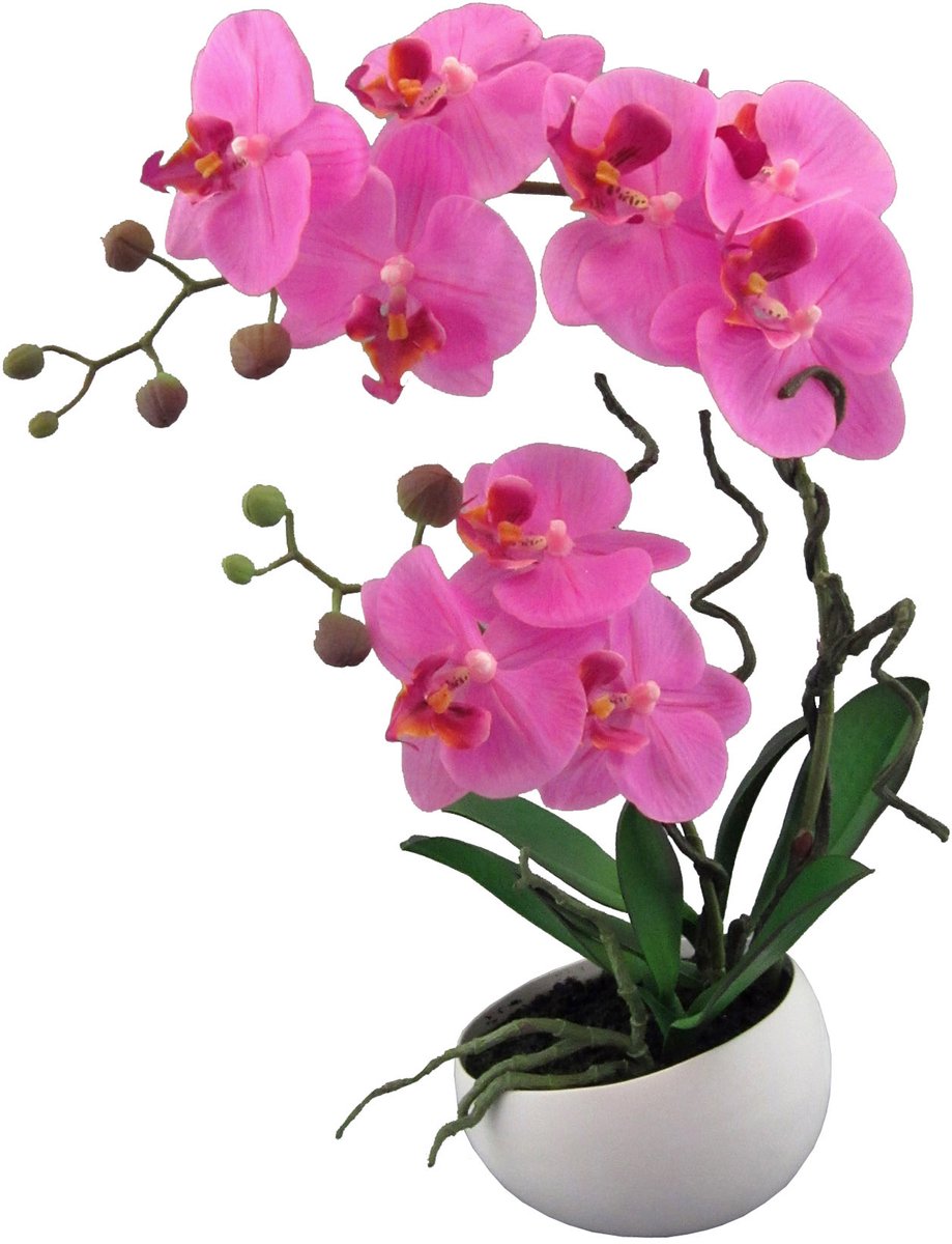 Gasper Kunst-Vlinderorchidee Lila in witte schaal 48 cm