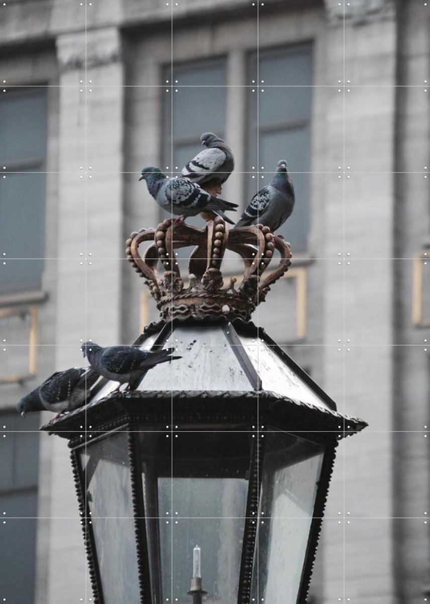 IXXI Doves on Dam Square, Edwin Fotografeert & Kunst in Kaart - 100 x 140 cm - Gratis ophangtool - Grote wanddecoratie en posters - Fotografie