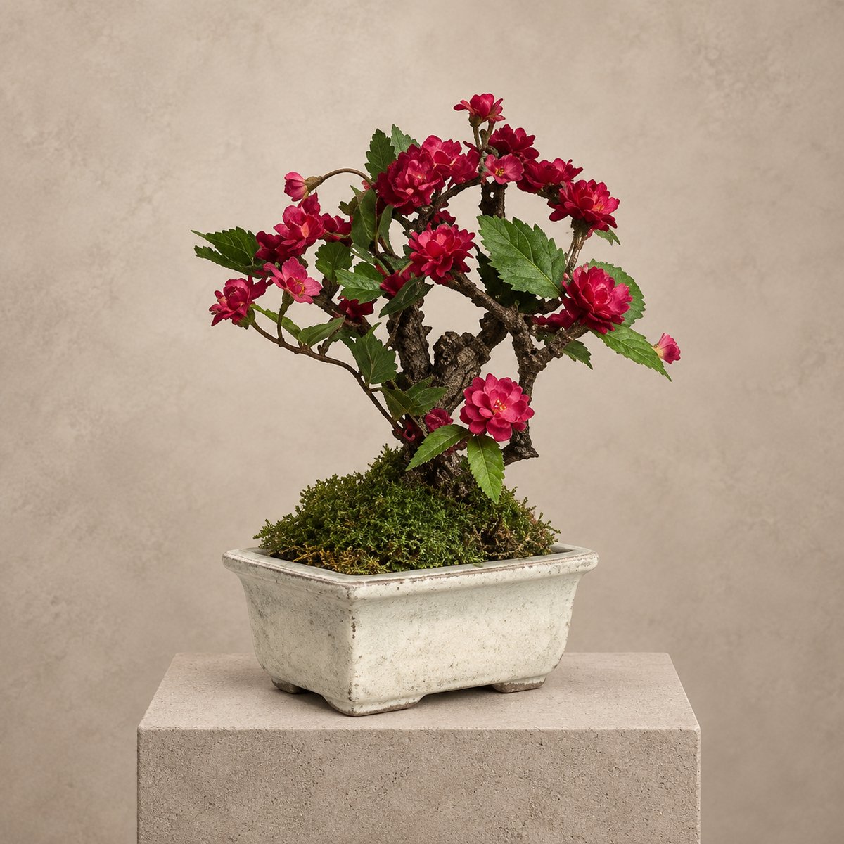 Seta Fiori Schattig kunst bonsai boompje in originele schaal - rode roosjes - 20cm Wit en rood