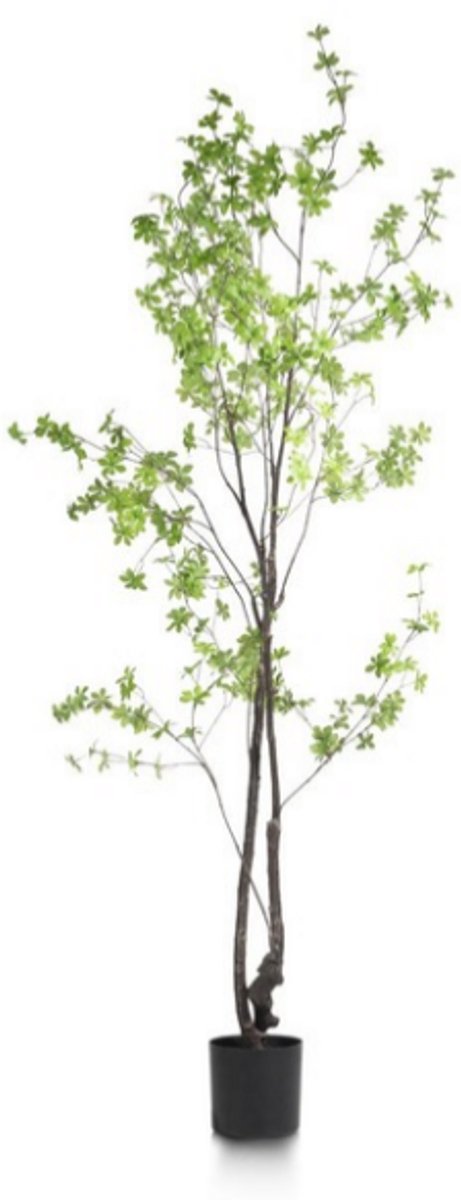 Coco Maison Kunstplant voor binnen - Tropaeolum - 210 cm - Kunstboom - Decoratieve Kunstplant Groen