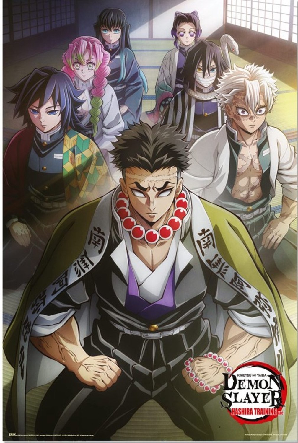 Demon Slayer poster - Hashira - Training - Manga - Anime - Japan - 61 x 91.5 cm