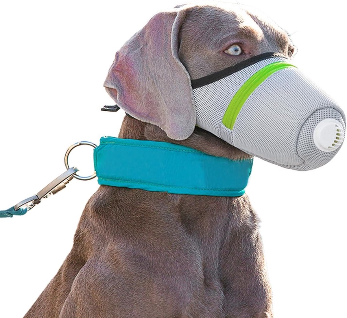 Muilkorf Voor Kleine Hond Zacht Verstelbaar Ademend Anti-Bijten Klein