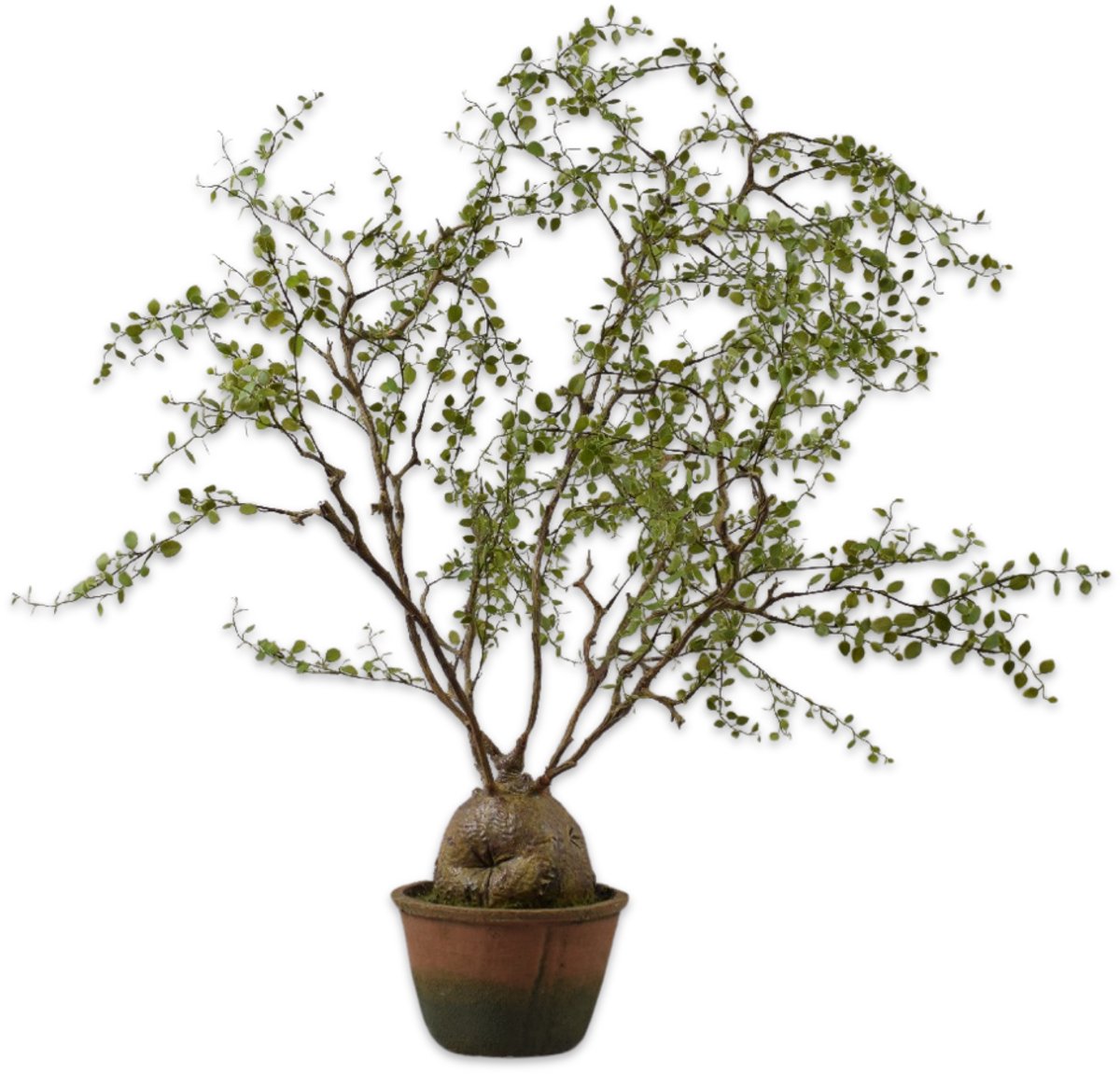 EDG - Kunstplant - groen - D15 x H86 cm