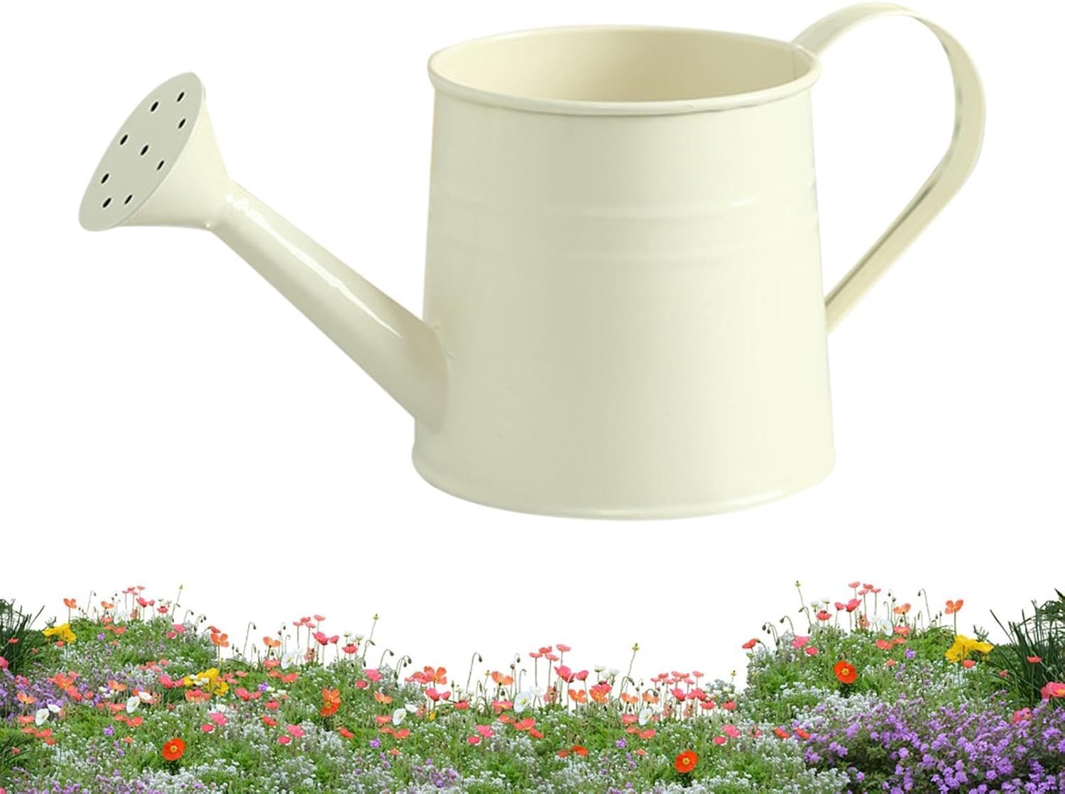 Gieter voor kamerplanten, 1 liter, met handvat en lange tuit, moderne kamerplantenirrigatie - voor huistuin, binnenplaats, gazon, terras, looppad, bloembed, landschap, bonsai
