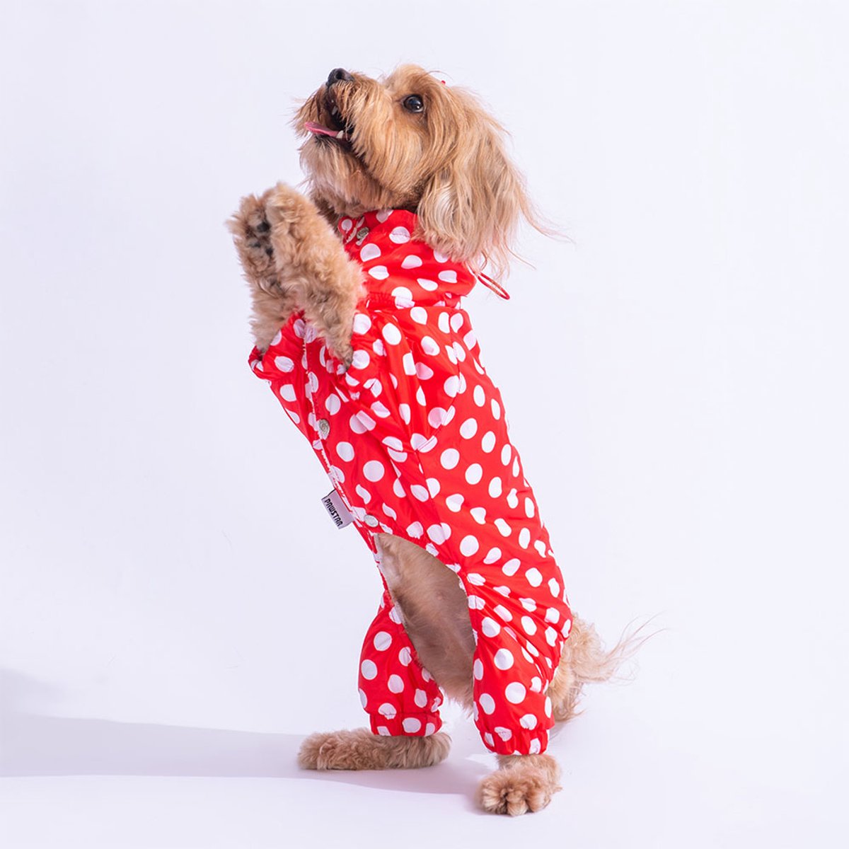 Pawstar Dots - Hondenoverall - Rood - L