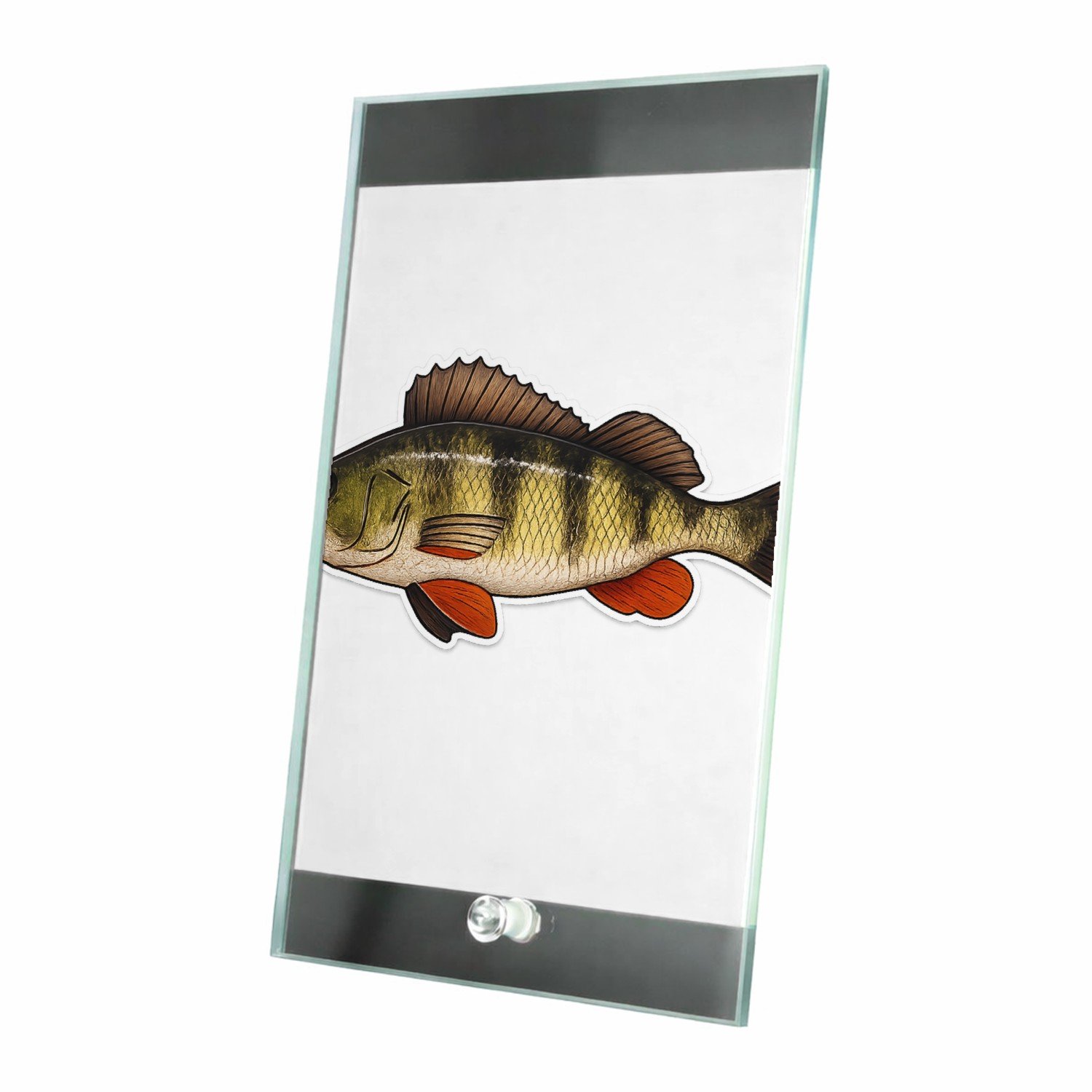 Mr Cadeautjes Glasframe 15 x 23 - design Grafische salamander op rotsrand | cadeau Wit