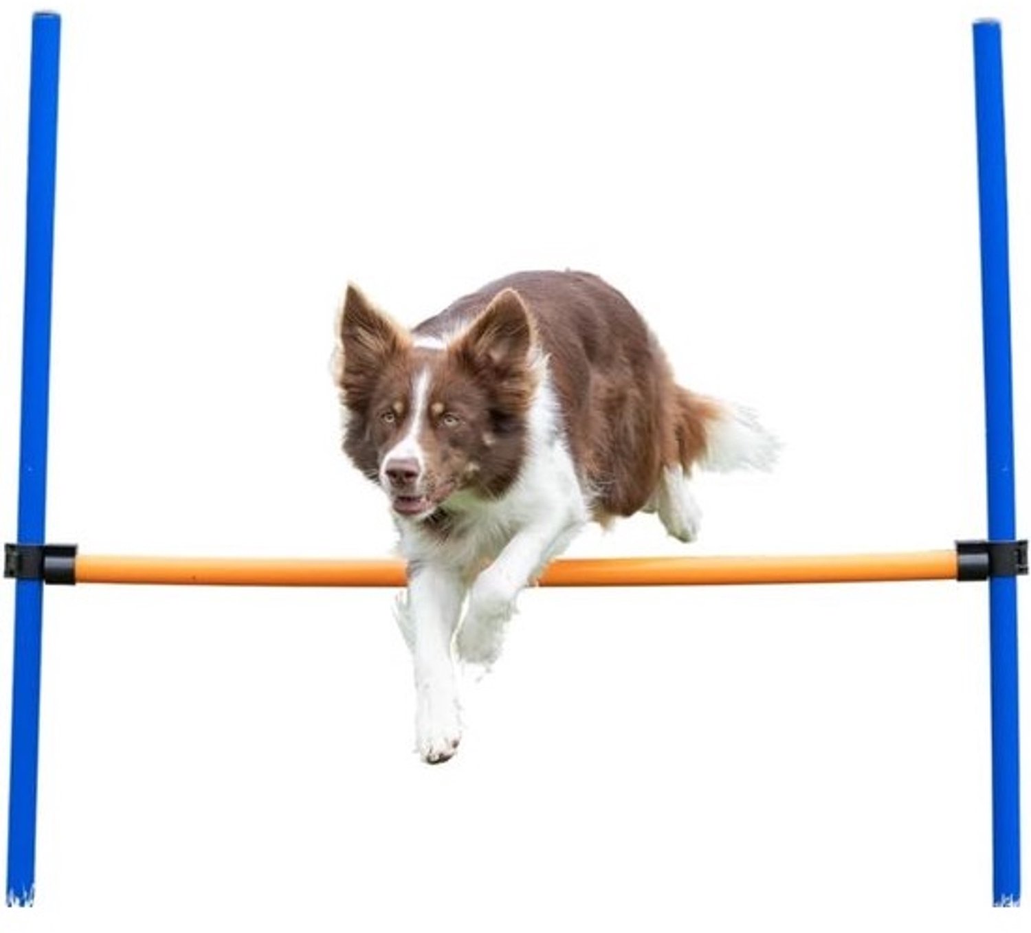 Verstelbare hondenspronghorde 115 cm blauw/oranje | kunststof agility-apparatuur voor honden van Trixie