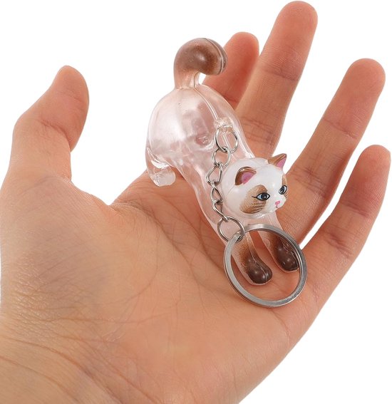 2 Stuks Transparante Kattenhaar Bewaardoos Sleutelhanger van Draagbare Pet Memorial Capsules Geschikt voor Kattenliefhebbers Schattige Praktische Souvenirhouder — afbeelding 5