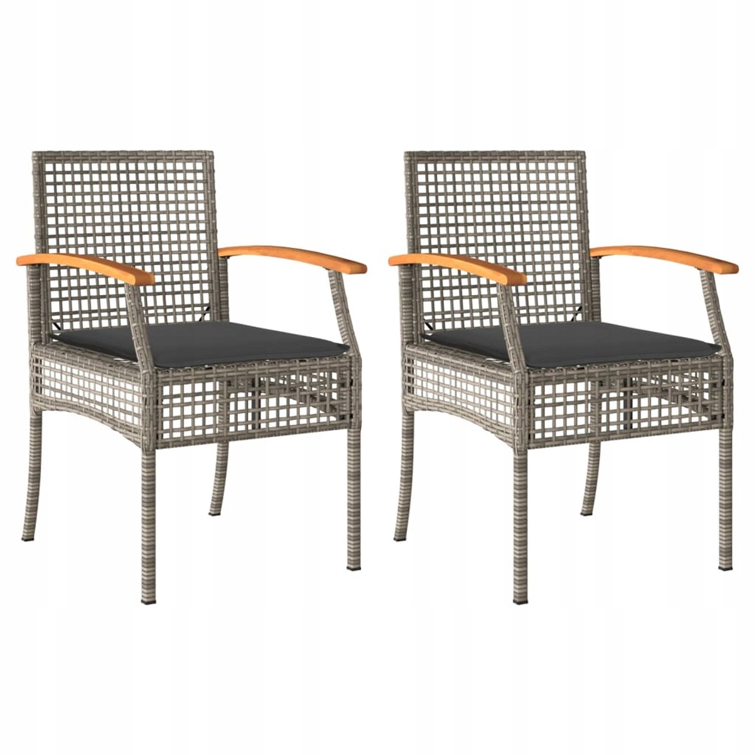 2x Comfortabele Rotan Tuinstoelen met Kussens - Grijs
