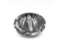 Orthoceras Bowl 12cm