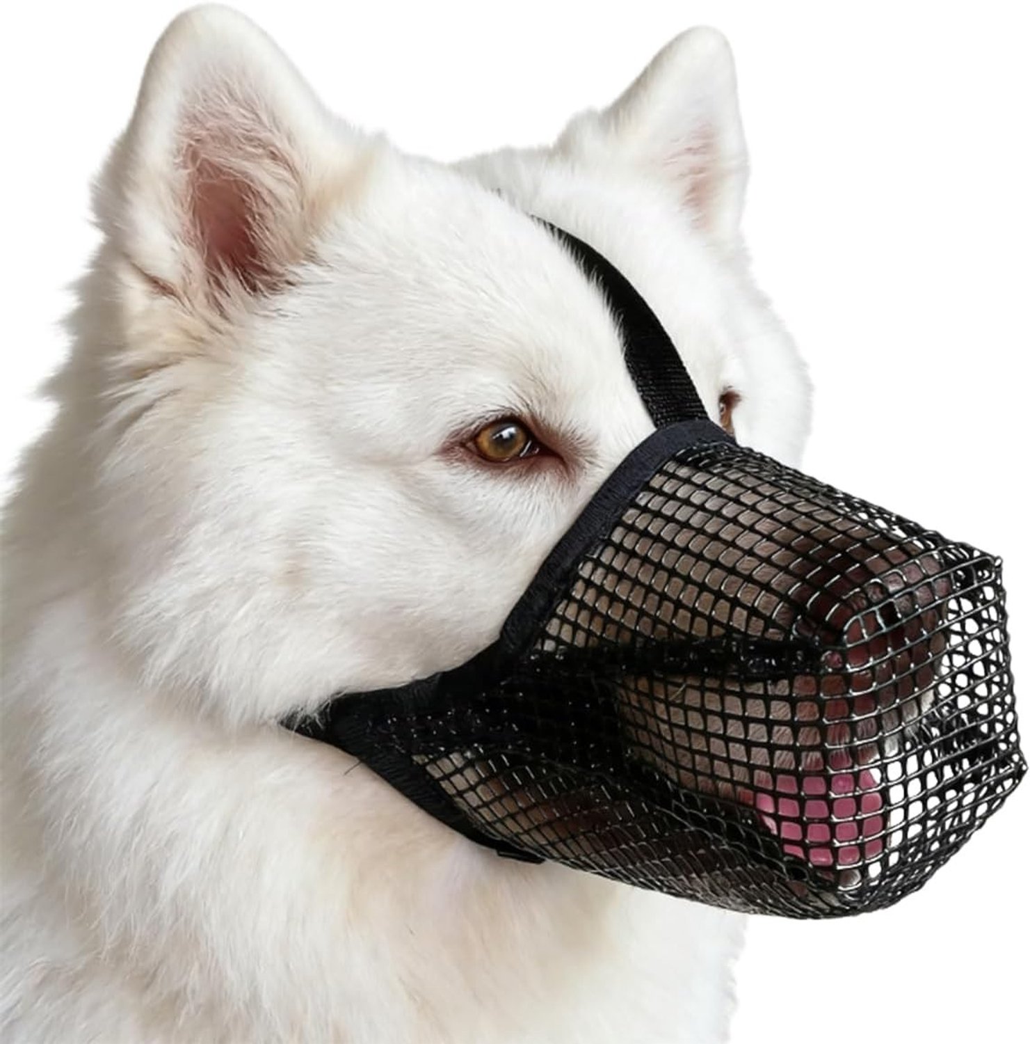 Hondenmuilkorf voor Grote Honden - Medium Bijt- en Kauwbestendig Ontwerp voor Veiligheid en Comfort