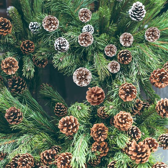 24 stuks natuurlijke dennenappels sneeuw dennenappel voor kerstboom slinger krans ornamenten dennenappels decoreren winter vakantie huis (primaire kleuren, wit) — afbeelding 4