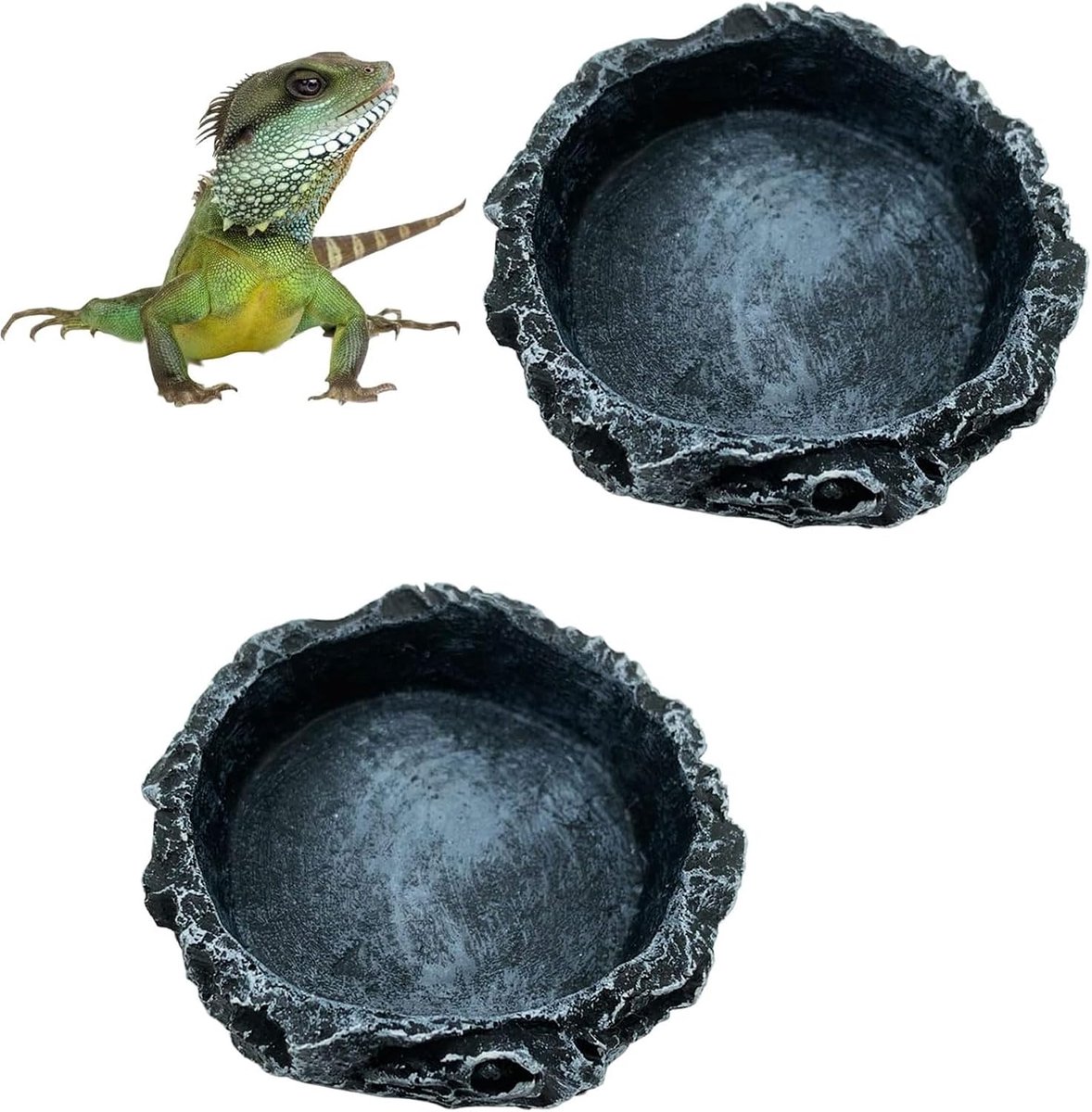 2 stuks kommen voor landschildpadden, drinkbak voor landschildpadden, Teca voor reptielen, waterbekken, levensmiddelen, reptielen voor schildpadden, gekko, slang